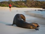 Galapagos (Mar 2009) - Day 06 - 015
